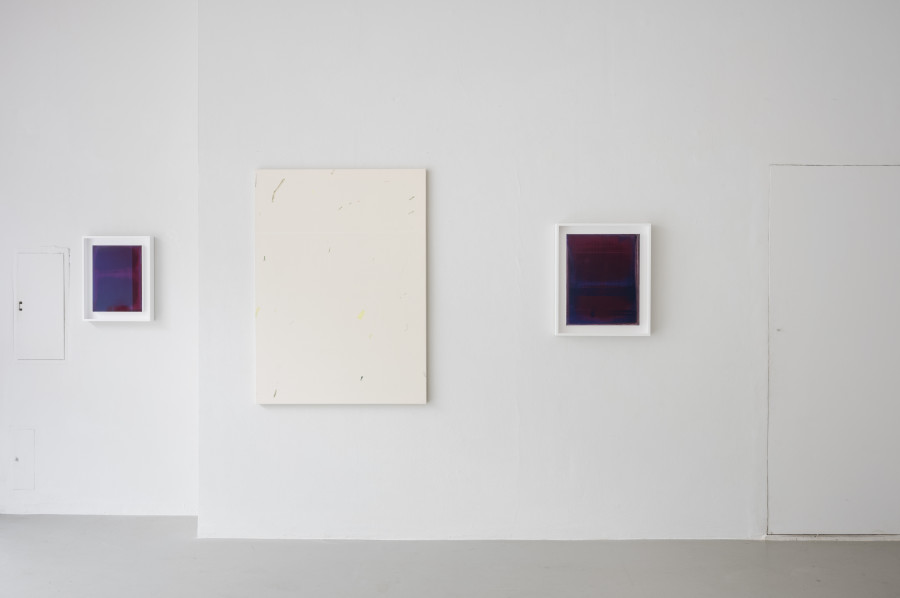 Installation view, Récolte de promenade, Paul Czerlitzki & Struan Teague, annex14, 2024.