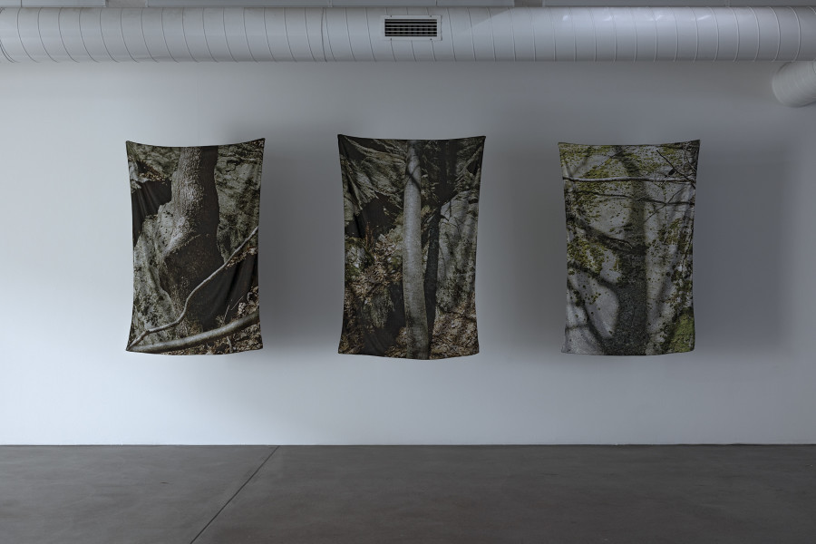 Georg Gatsas, Alberi I–VIII, 2024. Courtesy the artist. Ausstellungsansicht Kunsthaus Baselland 2025. Foto: Gina Folly