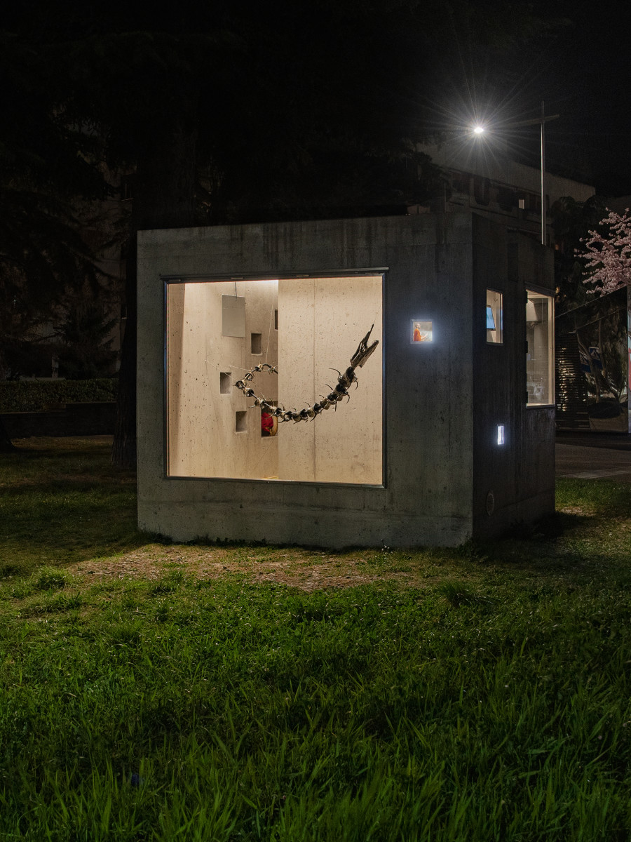 Installation view, Yan Tomaszewski, La Correction, Lemme, Sion, 2025.