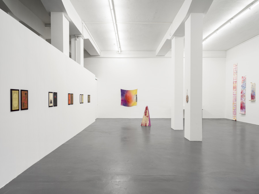 Installation view, Dietrich, curated by Anne Pontégnie, Galerie Francesca Pia, Zurich, 2024. Photo: Cedric Mussano