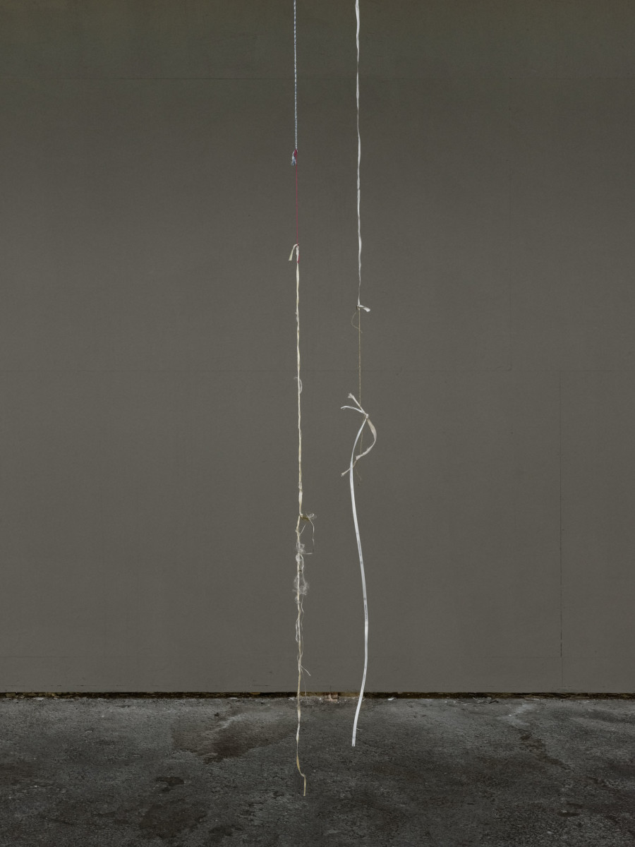 Eric Hattan – Weisse Spinnen, Installation view, 2023, Kunsthalle Arbon, Photo: Ladina Bischof