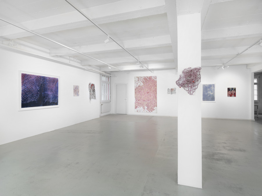 Exhibition view, Sophie Bouvier Ausländer, Climatérique, Galerie Heinzer Reszler, 2023. Photo credit: Julien Gremaud
