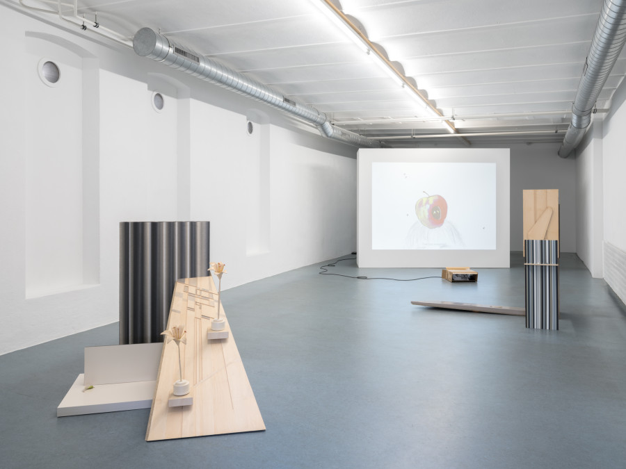 Exhibition view, In a Certain Light, Anna Christen, Simon Pellegrini, 2026. Photo credits: Julian Blum