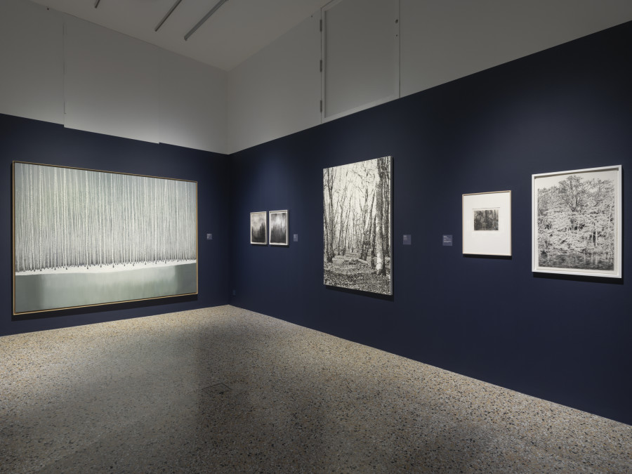 Guardians of Silence, Exhibition View, 2023, Musée Jenisch Vevey. © Musée Jenisch Vevey, photographie Julien Gremaud