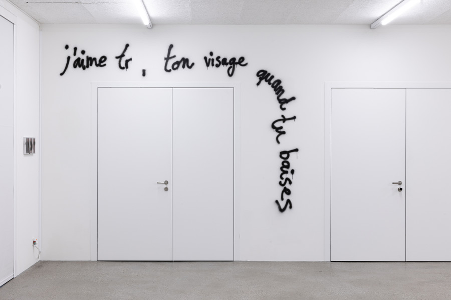 Exhibition View Group Show « All my loved ones like to fight »; view on Mahalia Taje Giotto, Existential Boner, 2023 at CALM – Centre d’Art La Meute, Lausanne, 2023 / Photo: Théo Dufloo / Courtesy the artist and CALM – Centre d’Art La Meute
