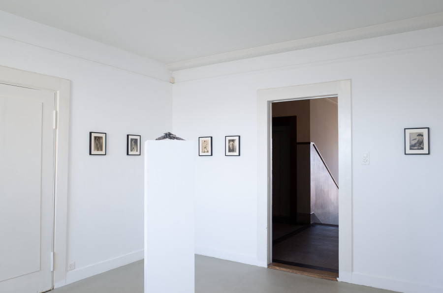 Iouri Podladtchikov & Elio Luxardo: You're Probably Right,Exhibition view, 2023, The Lighthouse, Photo credit: Iouri Podladtchikov.