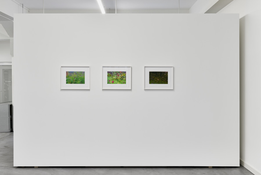 Installation view, Gardens of Dreams, Edition VFO, 2025. Photography by Bernhard Strauss