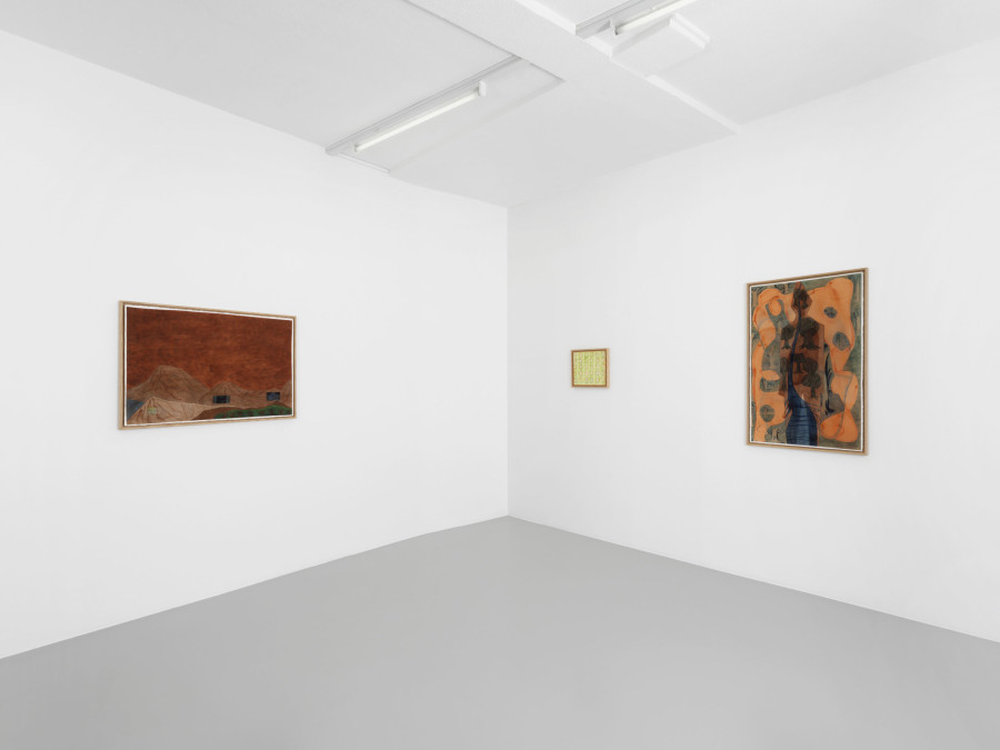 Exhibition view, Karishma D'Souza, Can’t See the Forest, xippas, 2023. Photo credit: Julien Gremaud