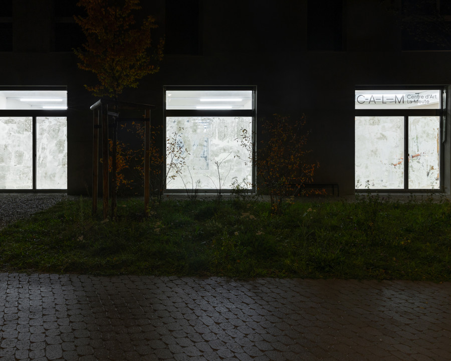 Exhibition View Yun Choi Solo Show « The Lounge »; view on Stained Glass, Parc du Loup 3, 2023 at CALM – Centre d’Art La Meute, Lausanne, 2023 / Photo: Théo Dufloo / Courtesy the artist and CALM – Centre d’Art La Meute