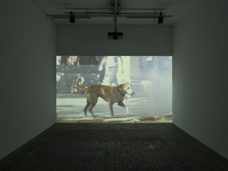 Exhibition view of Re/member Your House with the project the AfroGreeks by Døcumatism and a solo show by Menelaos Karamaghiolis at Centre d’Art Contemporain Genève (November 1st‒December 23, 2023). © Centre d’Art Contemporain Genève. Photo: Julien Gremaud
