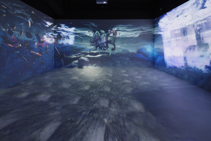 Exhibition view «Libby Heaney: Quantum Soup», 2024, HEK, photo: Franz Wamhof