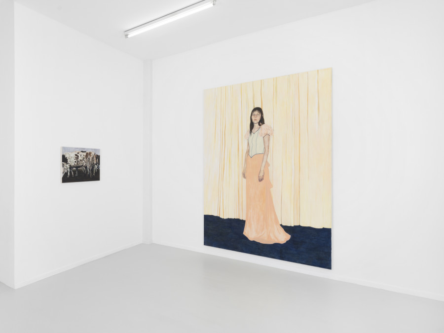 Installation view, Leanne Picthall, I Forgot I'm not Twelve Anymore, Skopia, 2024. Photo credit: Julien Gremaud