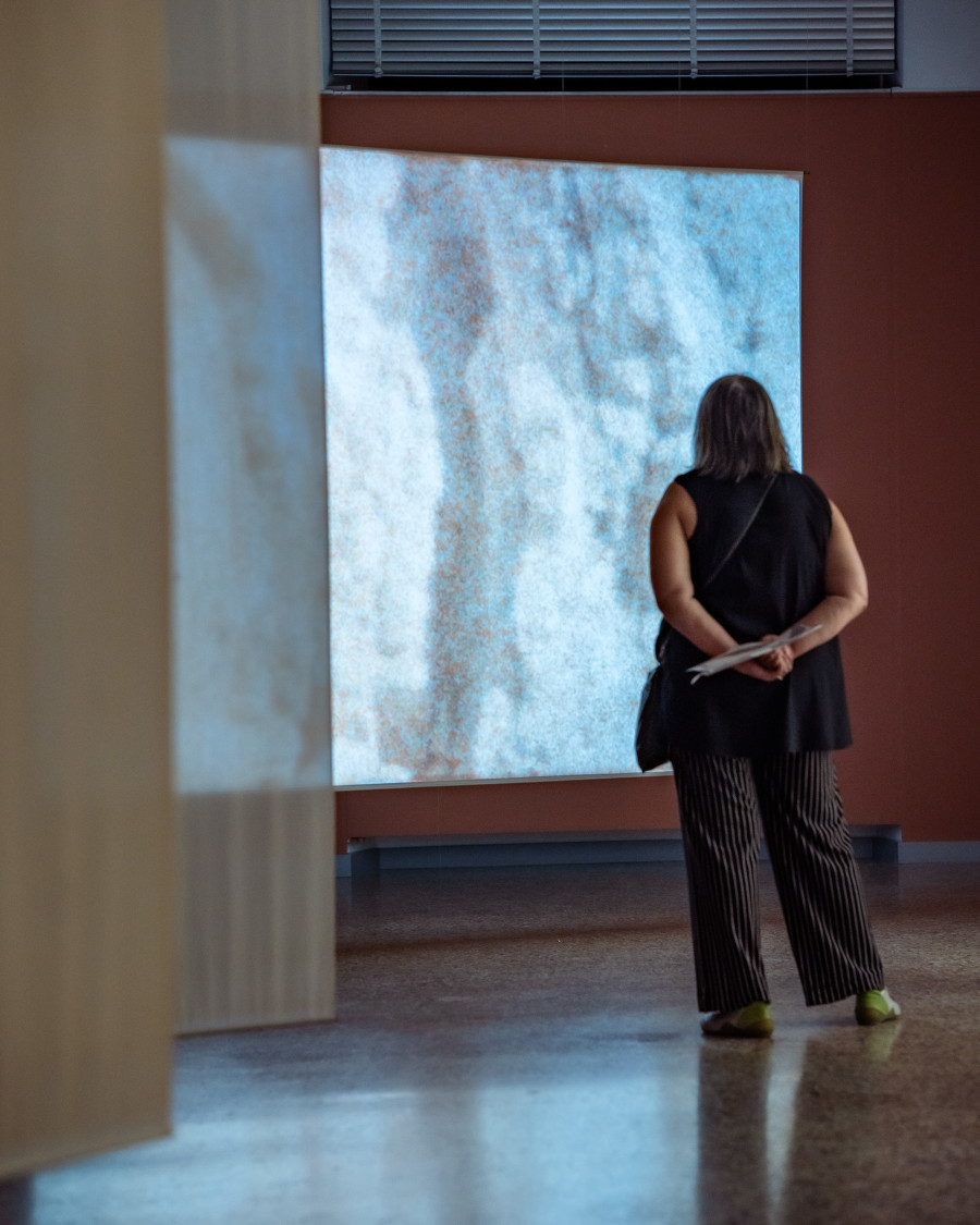 Ausstellungsansicht Dimitra Charamandas, Tides, Kunstmuseum Solothurn, 17.9.-31.12.23, Detail Farther back f/uffy hairs / Sway suspended like seaweed - Sand, Foto: Andrei Oros