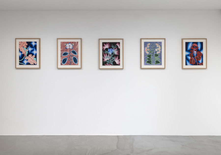 Exhibition view, Laura Thiong-Toye, Deuxième service, Wilde, 2024. Photo credit: Eric Bergoend