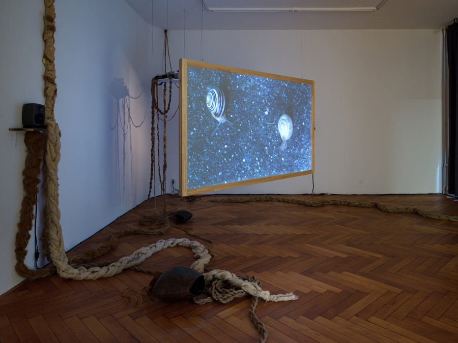 Vanessà Heer, Von Schand und Schuppel, installation view, Stadtgalerie Bern, 2025. Photography: Cedric Mussano. Copyright and courtesy of the artists and Stadtgalerie, Bern