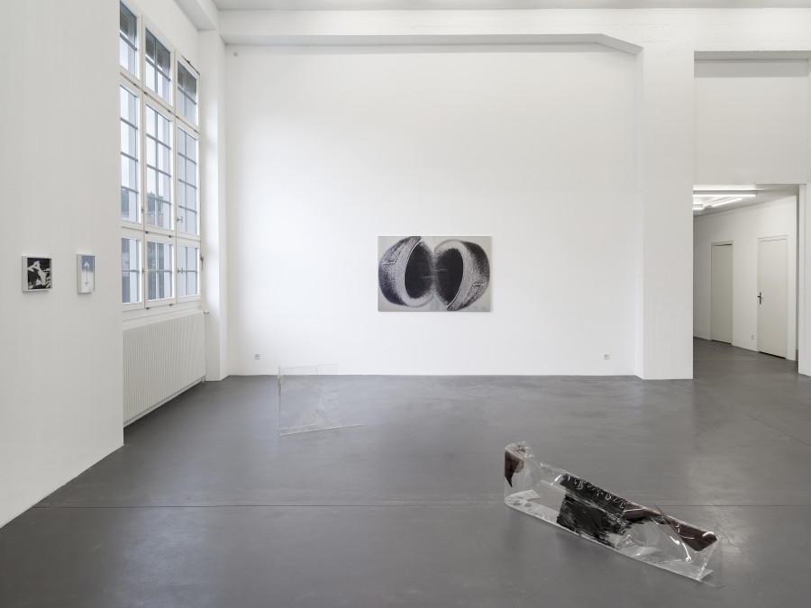 Installation view, Dietrich, curated by Anne Pontégnie, Galerie Francesca Pia, Zurich, 2024. Photo: Cedric Mussano