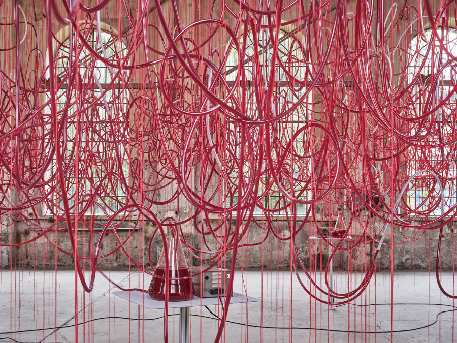 Chiharu Shiota: "Who am I Tomorrow?", Kunstraum Dornbirn 2023, Photo Günter Richard Wett, © the artist / Bildrecht Vienna 2023