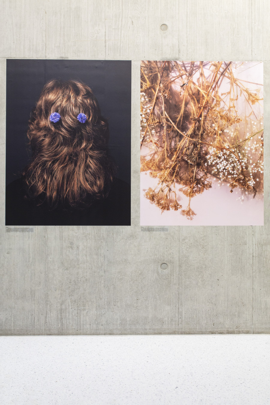 Installation view, Ann Shelton, I am an old phenomenon, Centre de la photographie Genève, 2025. Photo credit: Aline Bovard Rudaz