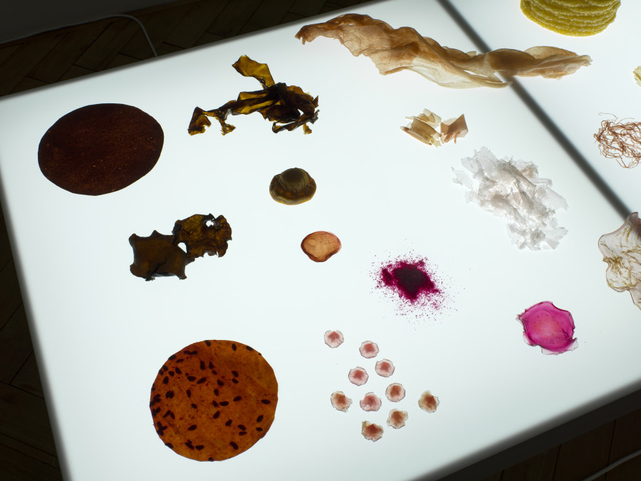 Franziska Baumgartner, Studien, 2021/22, Installationsansicht, Kunsthaus Langenthal, Foto: CE, Courtesy of the artist
