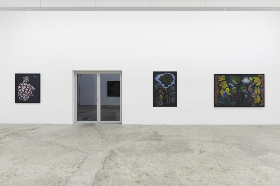 Exhibition view, Sabian Baumann, Nature (presque) morte, Galerie Mark Müller, Zürich, 2025. Photo credit: Conradin Frei & Galerie Mark Müller, Zürich.