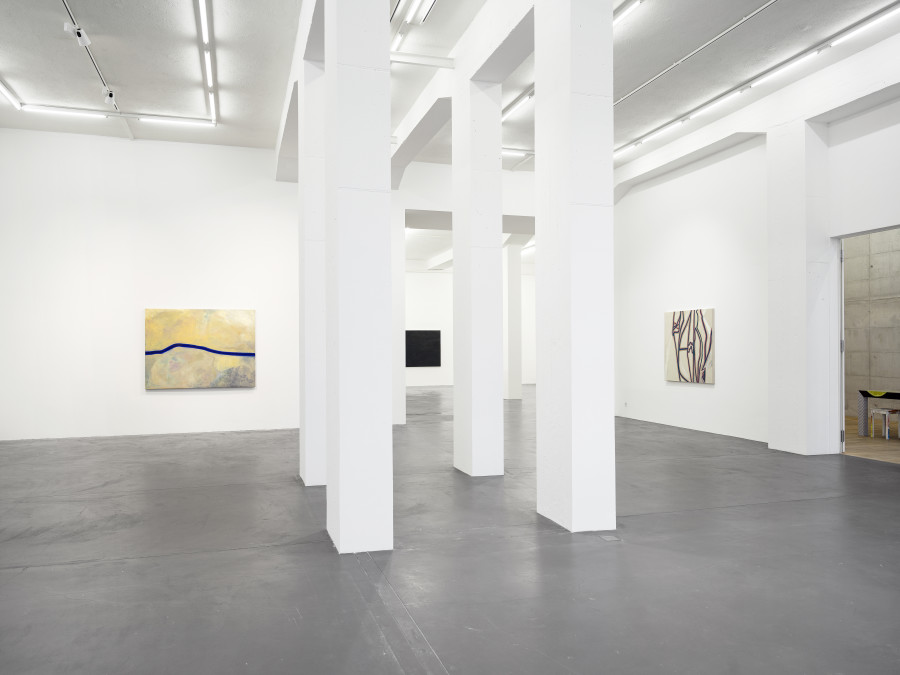 Installation view, Emil Michael Klein, Galerie Francesca Pia, Zurich, 2023-2024. Photo: Cedric Mussano