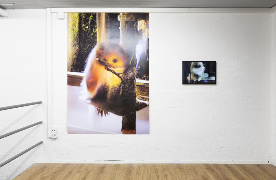 Installation view, Rob Kulisek, Nine Lives of Hermann Nitsch, Plymouth rock, 2023-2024.