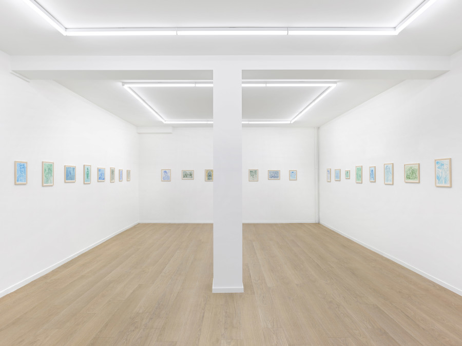 Caspar Giorgio Williams: Il faut cultiver notre jardin. Galerie Sébastien Bertrand, 2024. Photo : Annik Wetter, Courtesy the artist and Galerie Sébastien Bertrand