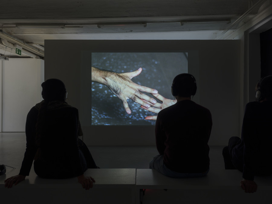 Florine Leoni, Notes from the dreaming Caracal, 2023, exhibition view, 2024. Photography: Sebastian Verdon / all images copyright and courtesy of the artists and CAN Centre d’art Neuchâtel
