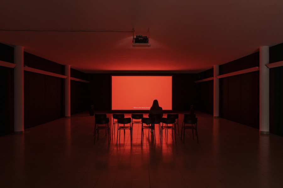 Silvia Kolbowski, Missing Asher, 2019. Silvia Kolbowski, Who will save us?, exhibition view, Kunsthaus Glarus, 2022. Courtesy the artist. Photo: Gunnar Meier