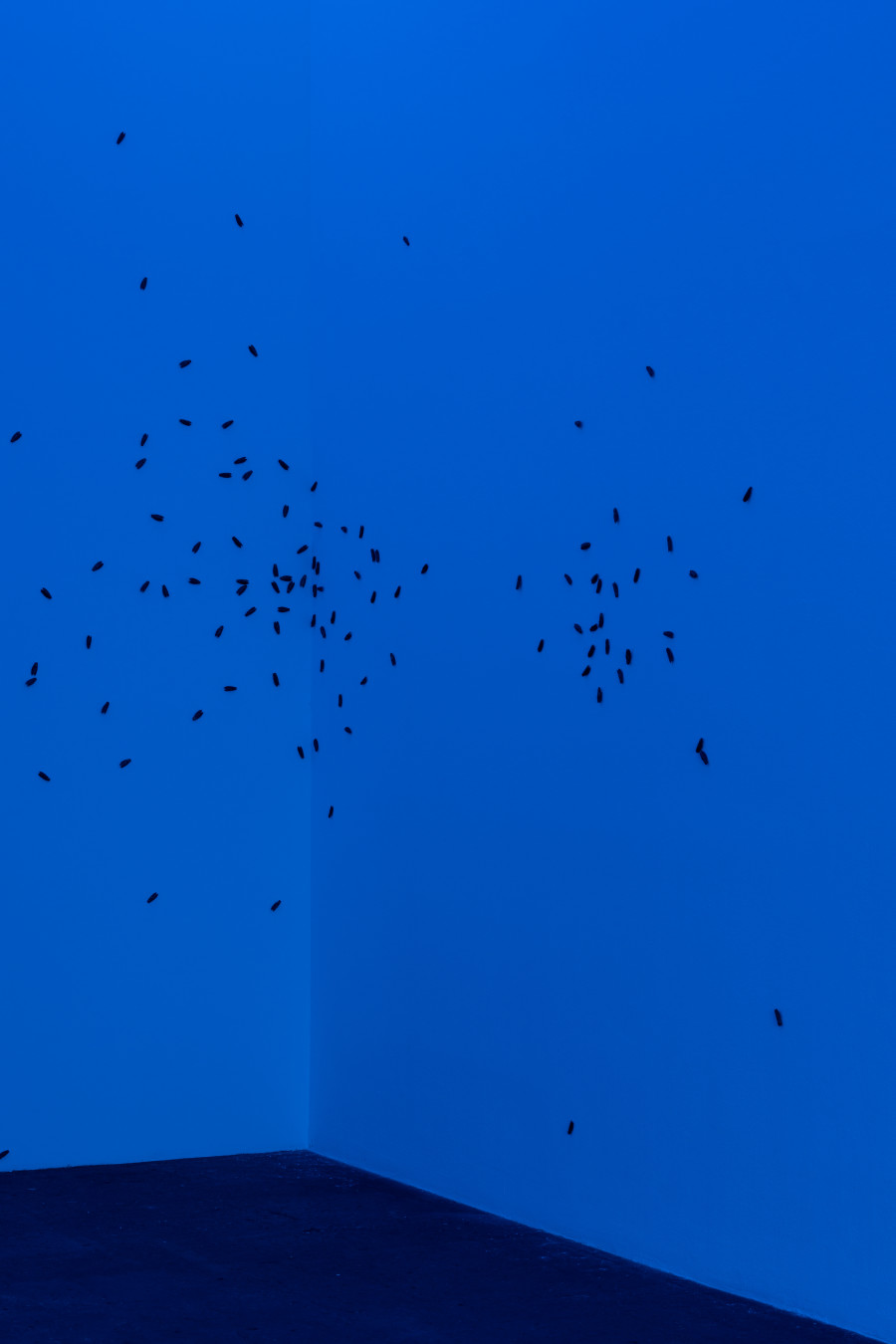 Marta Margnetti, Coro per Serenata, 2020-2024. Collection of the Swiss Confederation, Federal Office of Culture, Berne. Photo: Kunst Halle Sankt Gallen, E. Sommer.