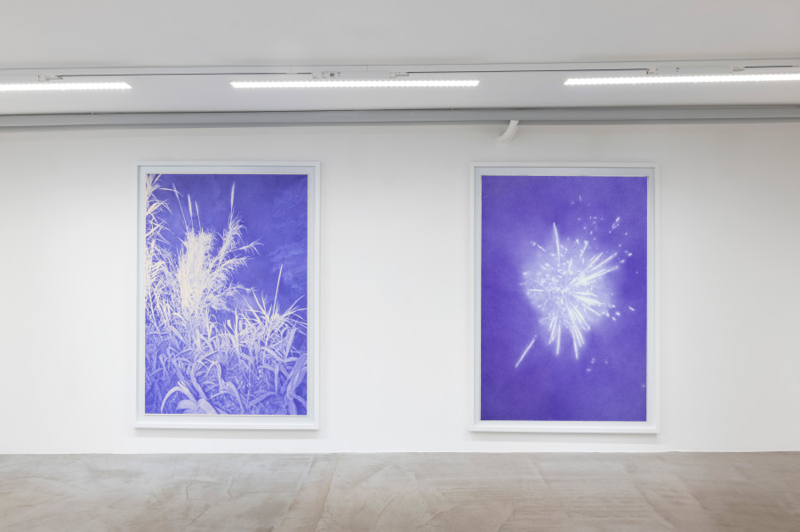 Exhibition view, Robin Wen, Ce que cachait la nuit, Wilde, Geneva, 2025-2026. Photo credits : Studio Eric Bergoend. Courtesy Robin Wen and Wilde