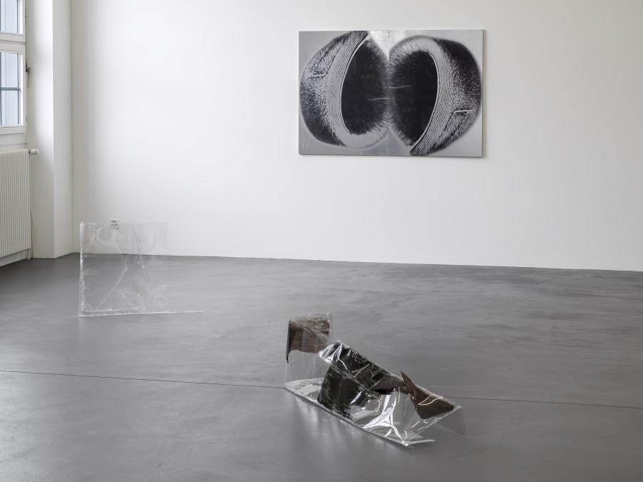 Installation view, Dietrich, curated by Anne Pontégnie, Galerie Francesca Pia, Zurich, 2024. Photo: Cedric Mussano