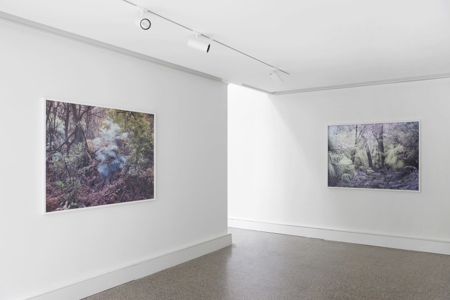Exhibition view, Yann Gross, Greetings, Wilde, 2024. Photo credit: Philipp Hänger