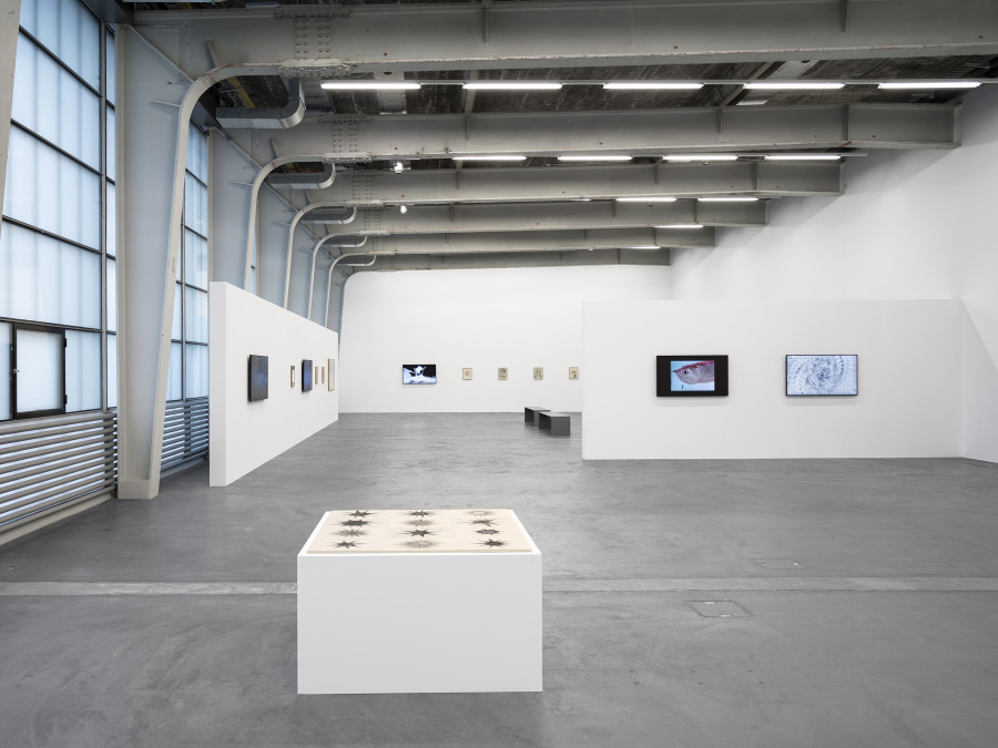 Vijay Masharani, Big Casino, Kunsthalle Zürich, 2025. Bild / Image: Cedric Mussano