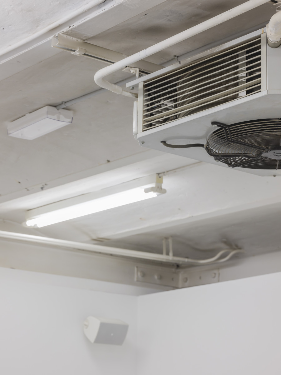 Caroline Bourrit, Charge Fantôme, Installation view, 2022, CAN Centre d’Art Neuchâtel,
Photo: S. Verdon