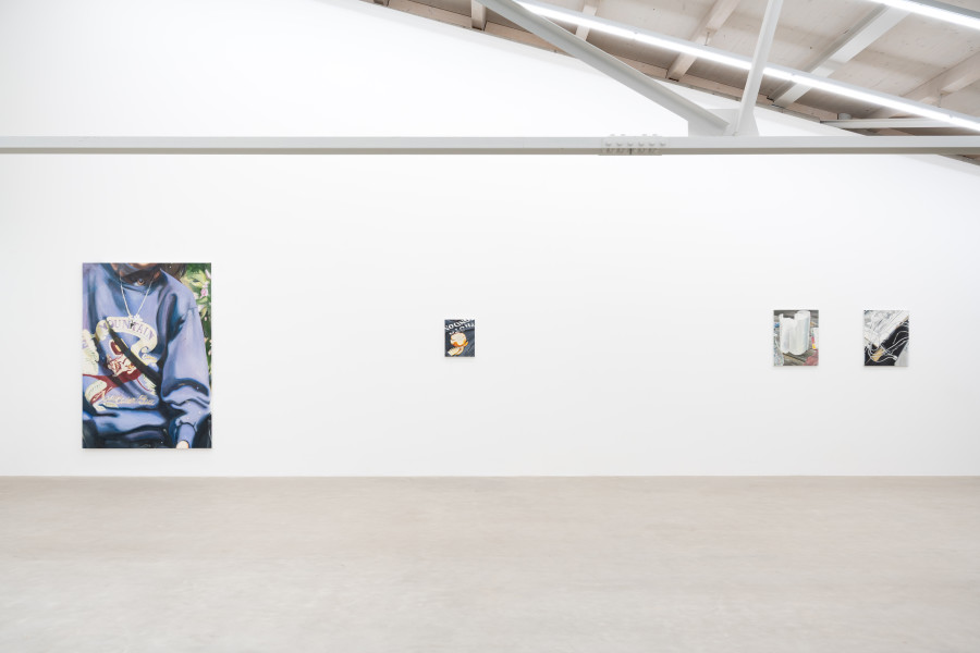 Mireille Blanc, Mountain, 2022. Courtesy of the artist and Galerie Anne-Sarah Bénichou. Mireille Blanc, Photo, 2023; Rouleau, 2022; Studio, 2022. Courtesy of the artist and THE PILL ®. Installation view Kunsthaus Baselland 2026. © 2026, ProLitteris, Zurich. Photo: Finn Curry / Kunsthaus Baselland