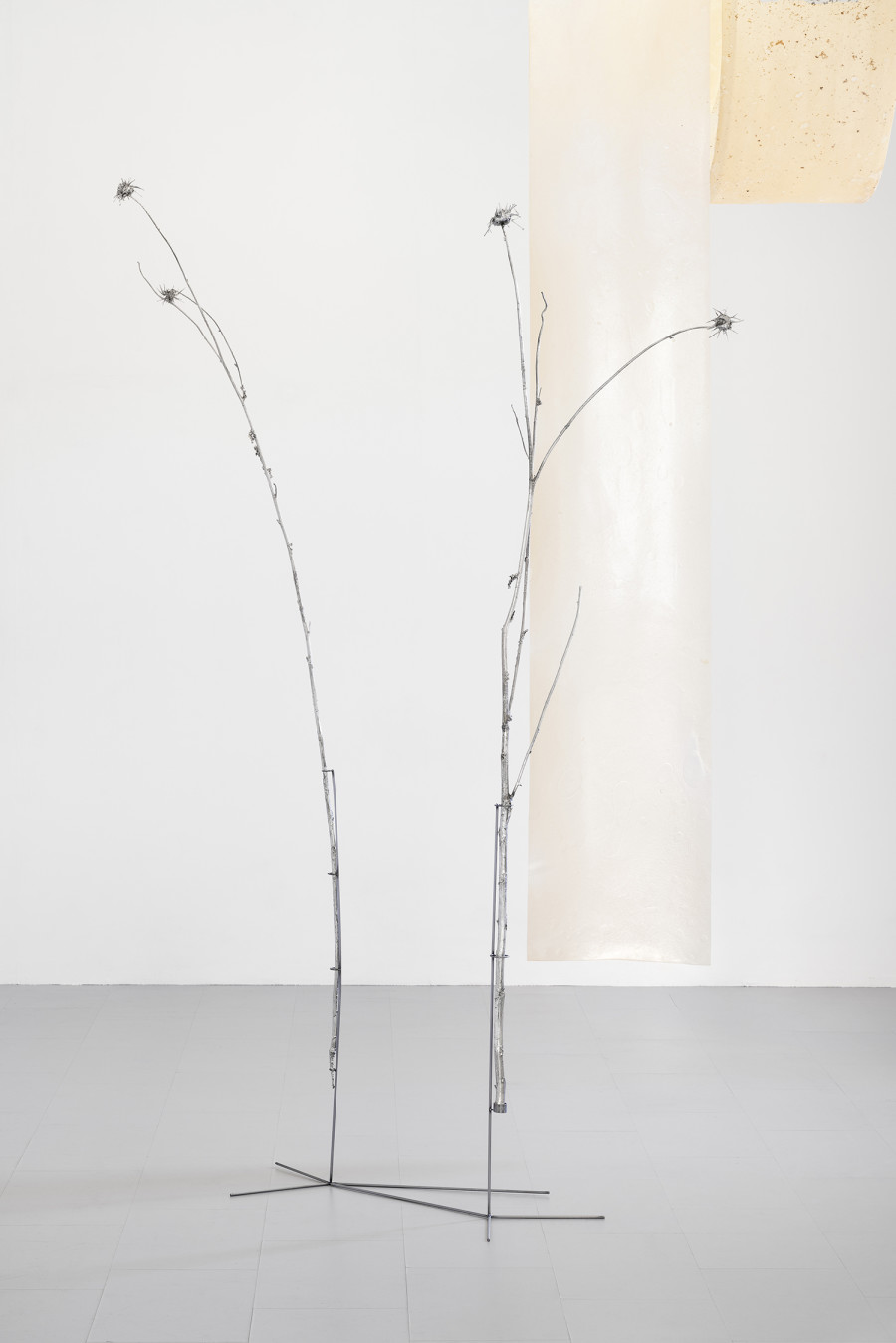Lucia Cristiani, Single Stem, 2023. Galvanised silver thistles, iron, 220x72x40cm, 200x72x60cm. Detail of Lucia Cristiani, Dense, 2025. bioplastics, Sargassum seaweed, iron, variable dimensions. Courtesy of the Artist and La Rada, Locaro.Ph by Riccardo Giancola. Images courtesy of artists and La Rada, Photography by Riccardo Giancola (@riccardo_giancola) and Emanuele Finardi (@e.m.hey)