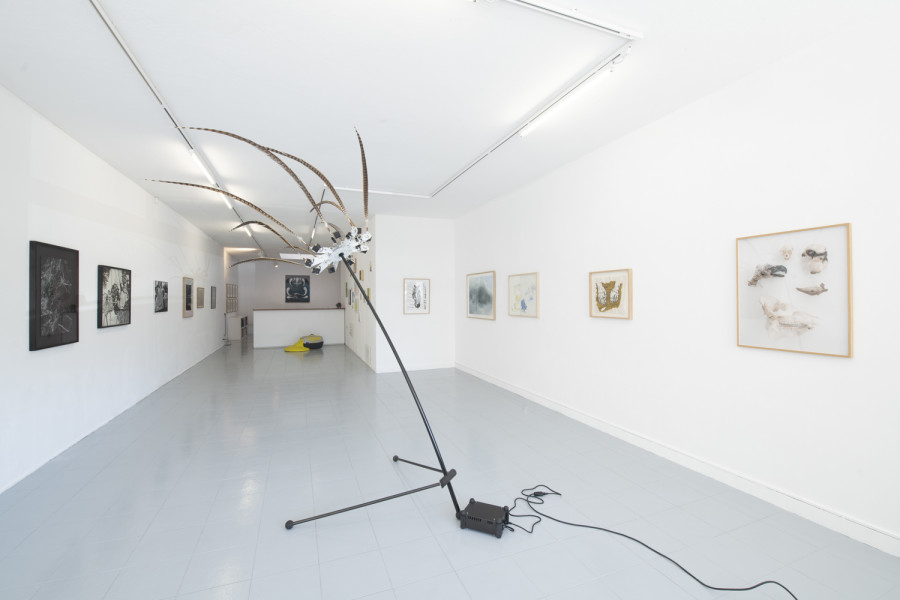 Installation view, INTO THE WILD, Wilde, 2022. Photo: Grég Clement