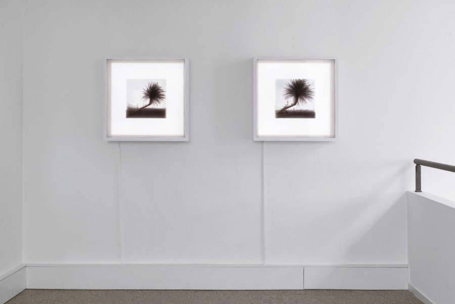 Exhibition view, Yann Gross, Greetings, Wilde, 2024. Photo credit: Philipp Hänger