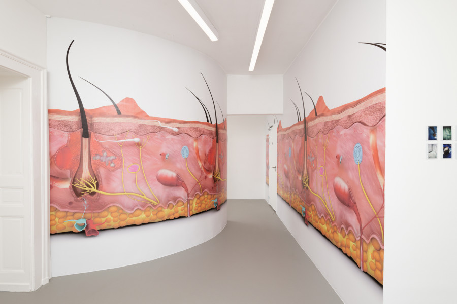 Exhibition view, 4 rivières, Eric Giraudet de Boudemange, Villa du Parc, 2023-2024. Photo credit: Aurélien Mole