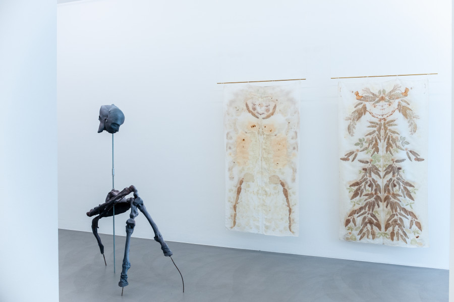 The Chimera Complex, Mai 36 Galerie, Installation view, 2023.