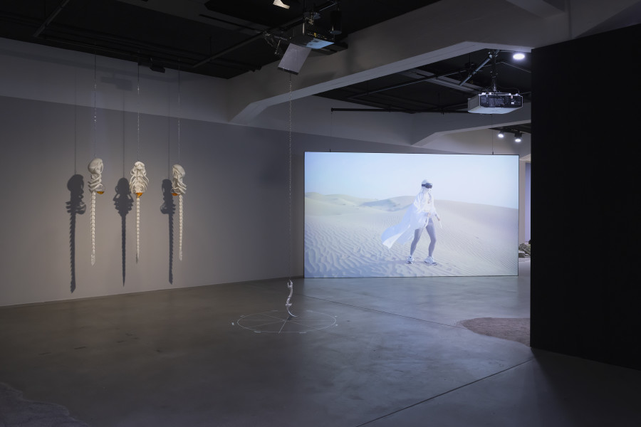 Christiane Peschek, FEVER, 2024–2025, «New Rituals [for the End of the World]», 2026, HEK, photo: Franz Wamhof
