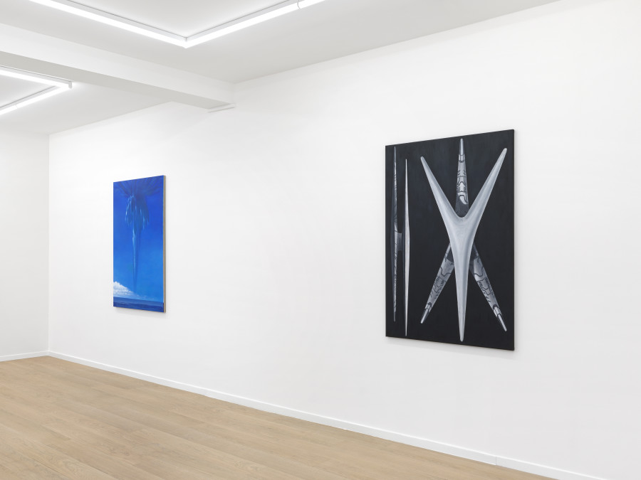 Mathis Gasser: Per Monstra Ad Sphaeram, 2025. Photo : Annik Wetter, Courtesy the artist and Galerie Sébastien Bertrand