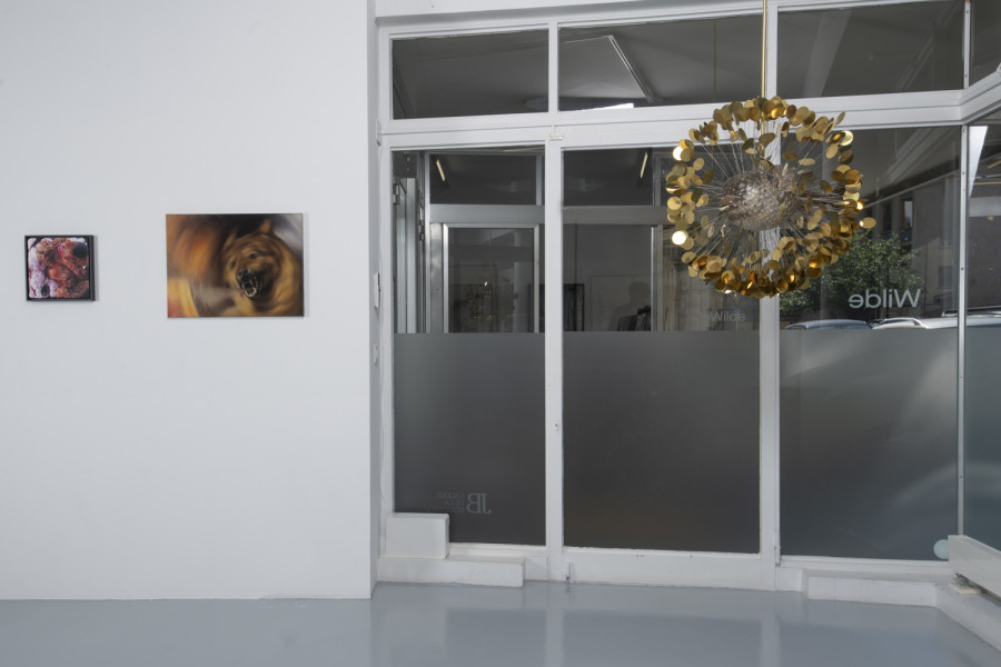 Installation view, INTO THE WILD, Wilde, 2022. Photo: Grég Clement