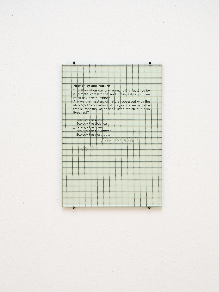 Exhibition view, Back to the Future, George Steinmann, Lofty Dryness. A growing Sculpture, 2003 – 2024, Kunsthalle Bern. Photo: David Aebi.