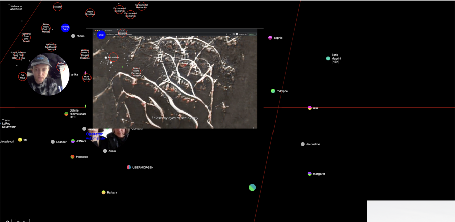 Virtula.hek.ch - Who is Online? Game Art in the Age of Post-NFTism - Vernissage Launch, 2023, HEK, Foto: HEK