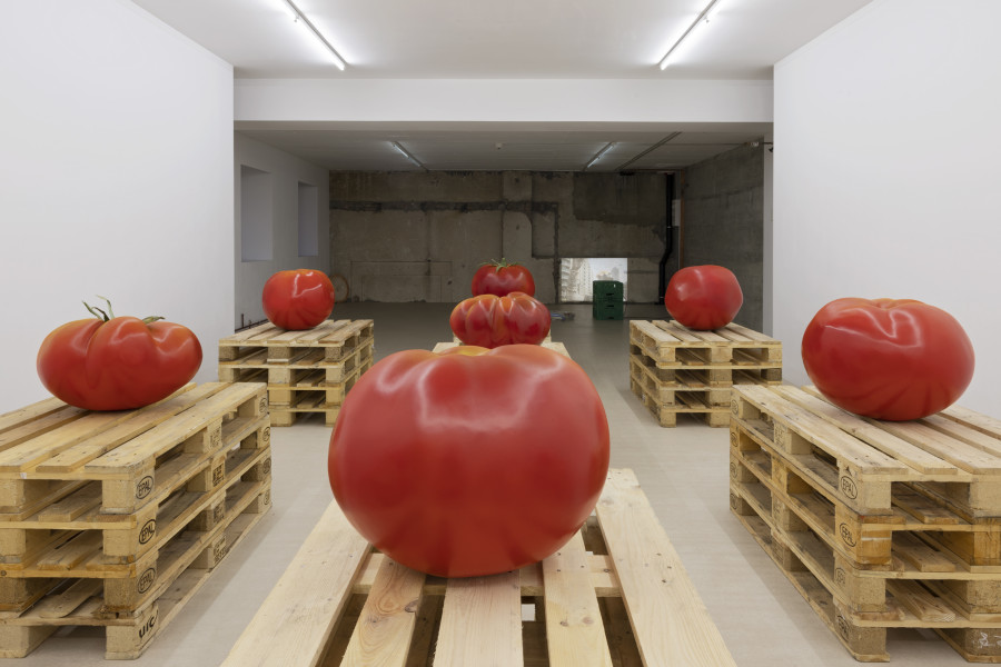 exhibition view, Yasmine El Meleegy, The six hundred seventy-four forms and a dragon, For, Basel