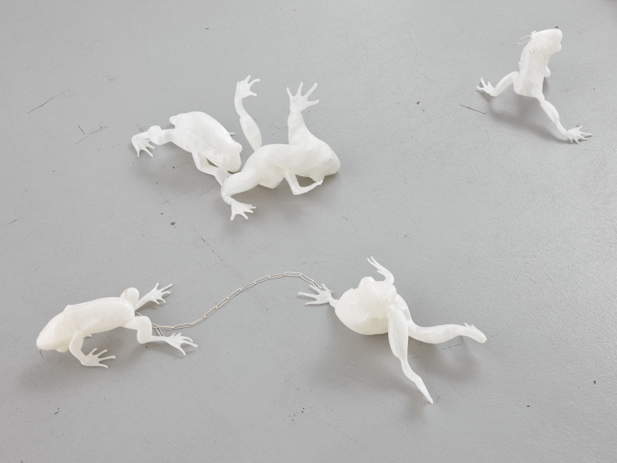 View of the exhibition Caroline Schattling Villeval, Carences et toute-puissance, CEC, 2024 Exhibition from January 19 to March 1, 2024. Courtesy Centre d’édition contemporaine, Geneva. Photo : © Sandra Pointet