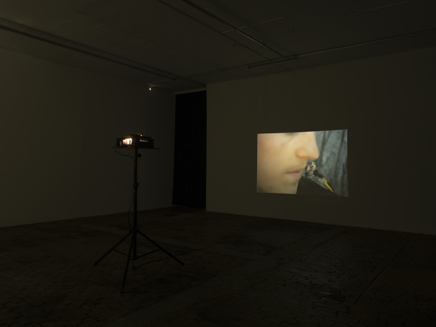 Exhibition view of Re/member Your House with the project the AfroGreeks by Døcumatism and a solo show by Menelaos Karamaghiolis at Centre d’Art Contemporain Genève (November 1st‒December 23, 2023). © Centre d’Art Contemporain Genève. Photo: Julien Gremaud