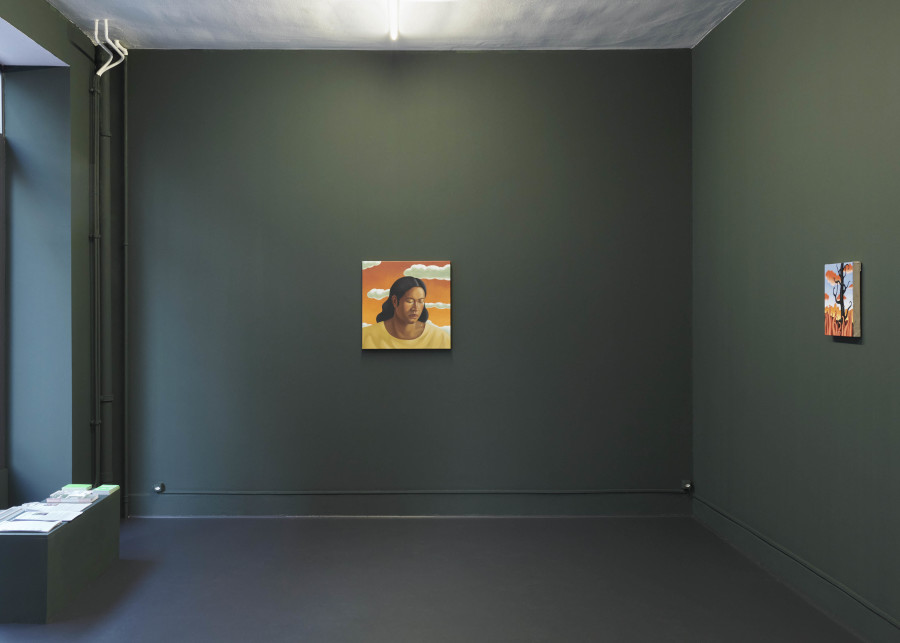 Tang Shuo: Shadows of Boulder Hill, Installation view, 2023, Fabienne Levy, Photo: @substancemat